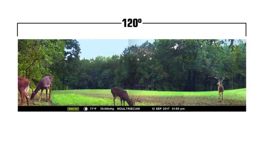 Moultrie P-120i Trail/Game Camera - image 2 from the video